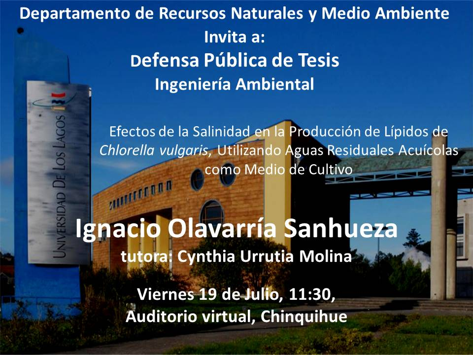 Examen de Grado Ignacio Olavarría