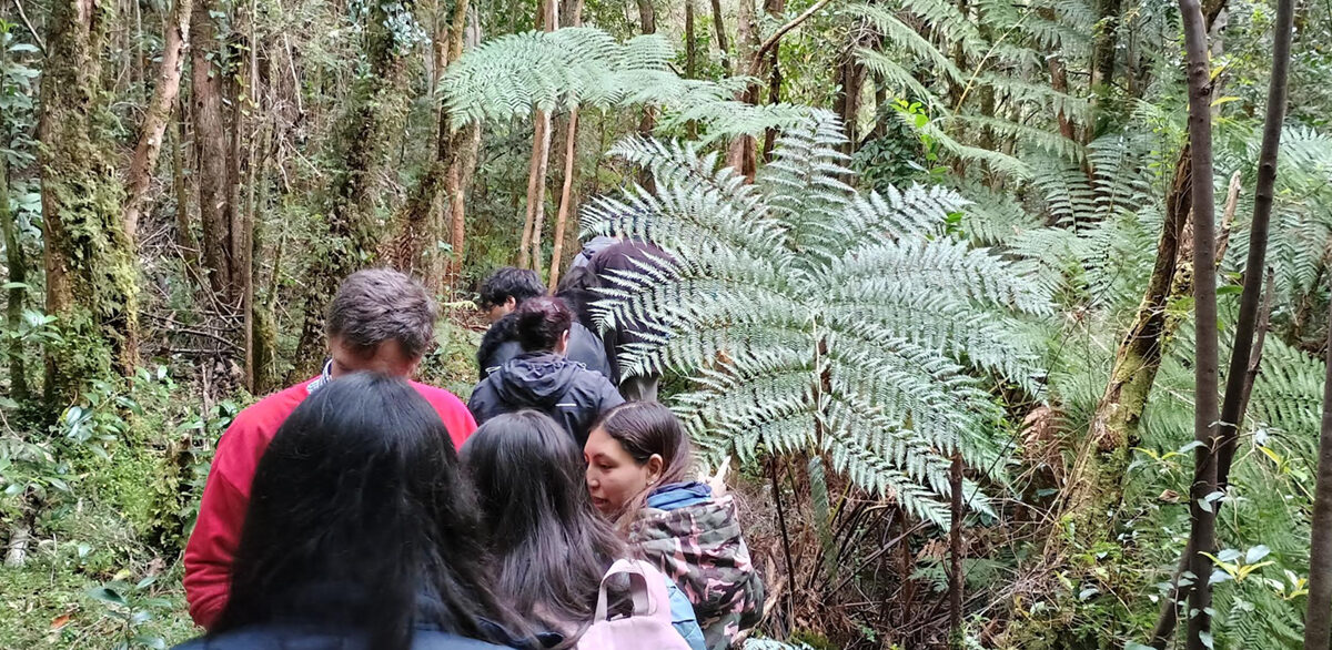 Ingeniería Ambiental ULagos fomenta conservación ambiental