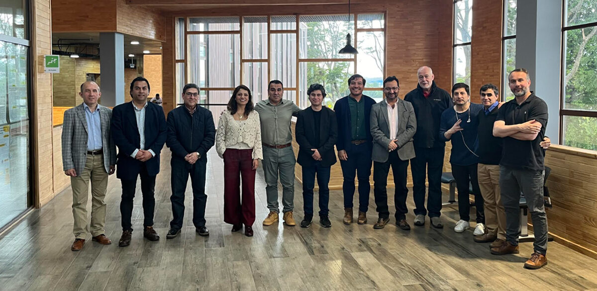 ULagos capacita sobre gestión ambiental a Consejo Regional de Los Lagos